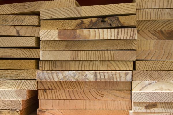 A Comprehensive Guide to Fixing and Preventing Wood Decay