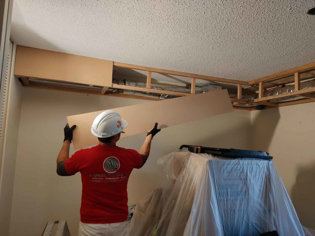 Argenta Painting Ltd