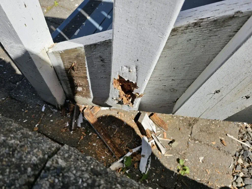 Argenta Painting Ltd