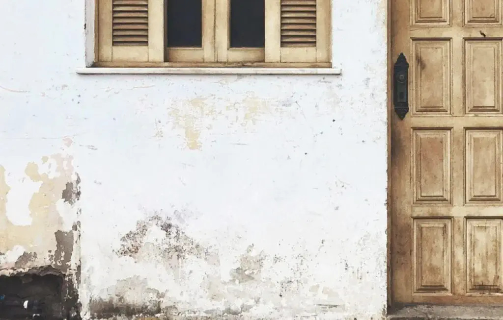 Argenta Painting Ltd