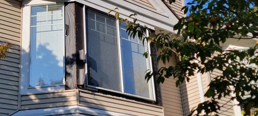 Argenta Painting Ltd