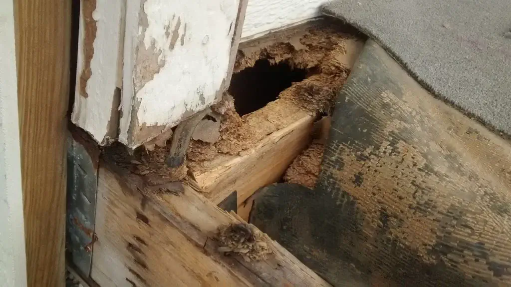 Dealing with wood rot