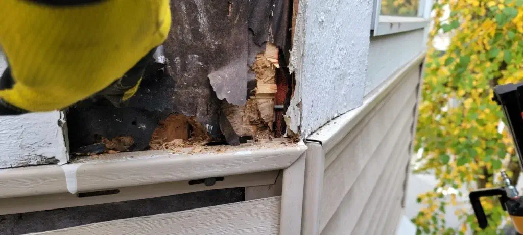 Argenta Painting Ltd