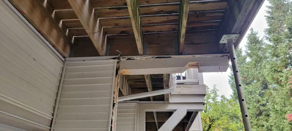 Argenta Painting Ltd