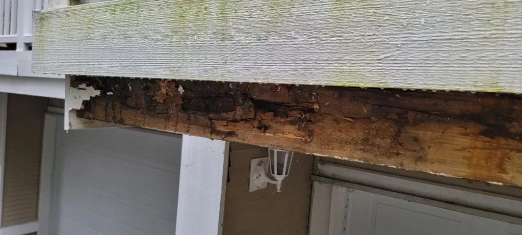 Argenta Painting Ltd