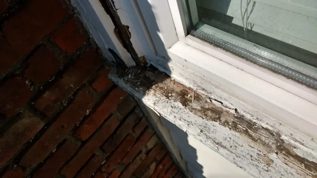 Argenta Painting Ltd