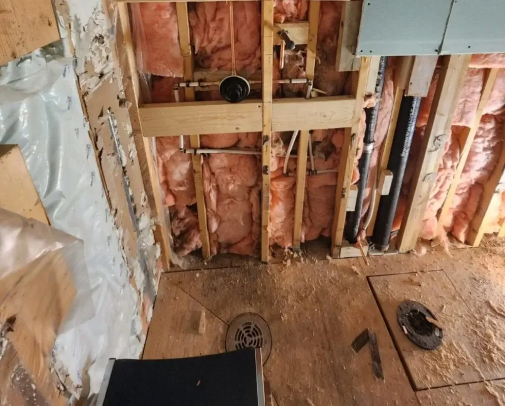 Argenta Painting Ltd