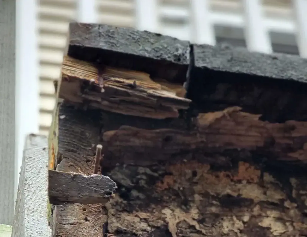 Argenta Painting Ltd