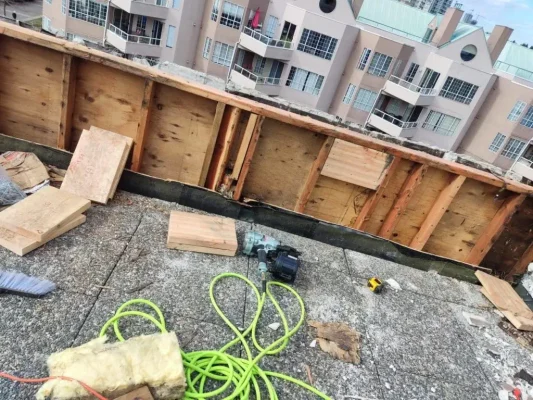 Battling the Silent Invader: A Guide to Tackling Rot in Your Home's Carpentry