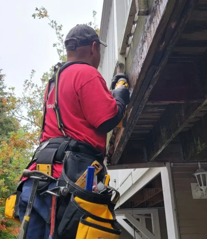 exterior carpentry and painting contractor