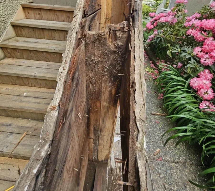 Argenta Painting Ltd