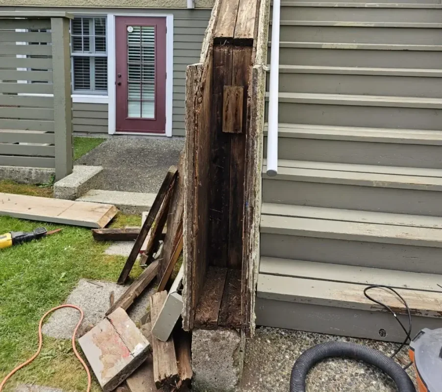 Argenta Painting Ltd