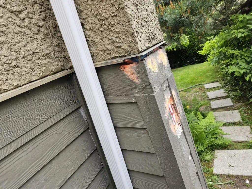 Argenta Painting ltd