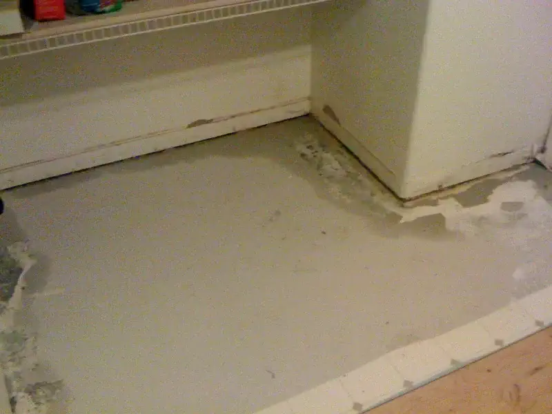 Argenta Painting Ltd