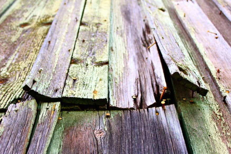 Argenta Painting Ltd