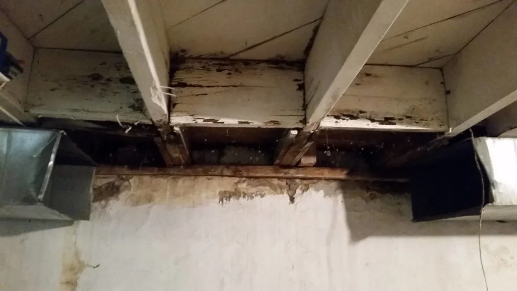 Argenta Painting Ltd