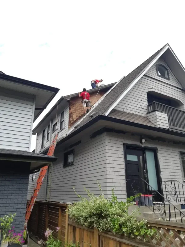 Argenta Painting ltd