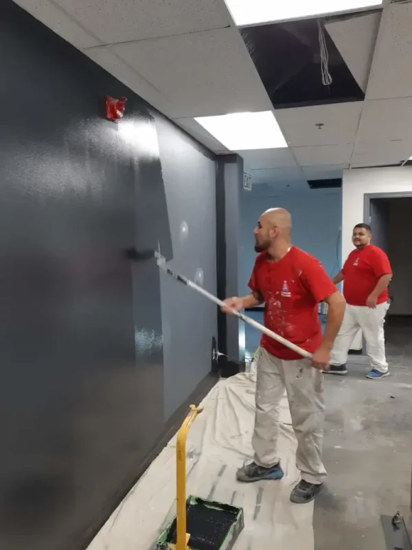 Argenta Painting Ltd