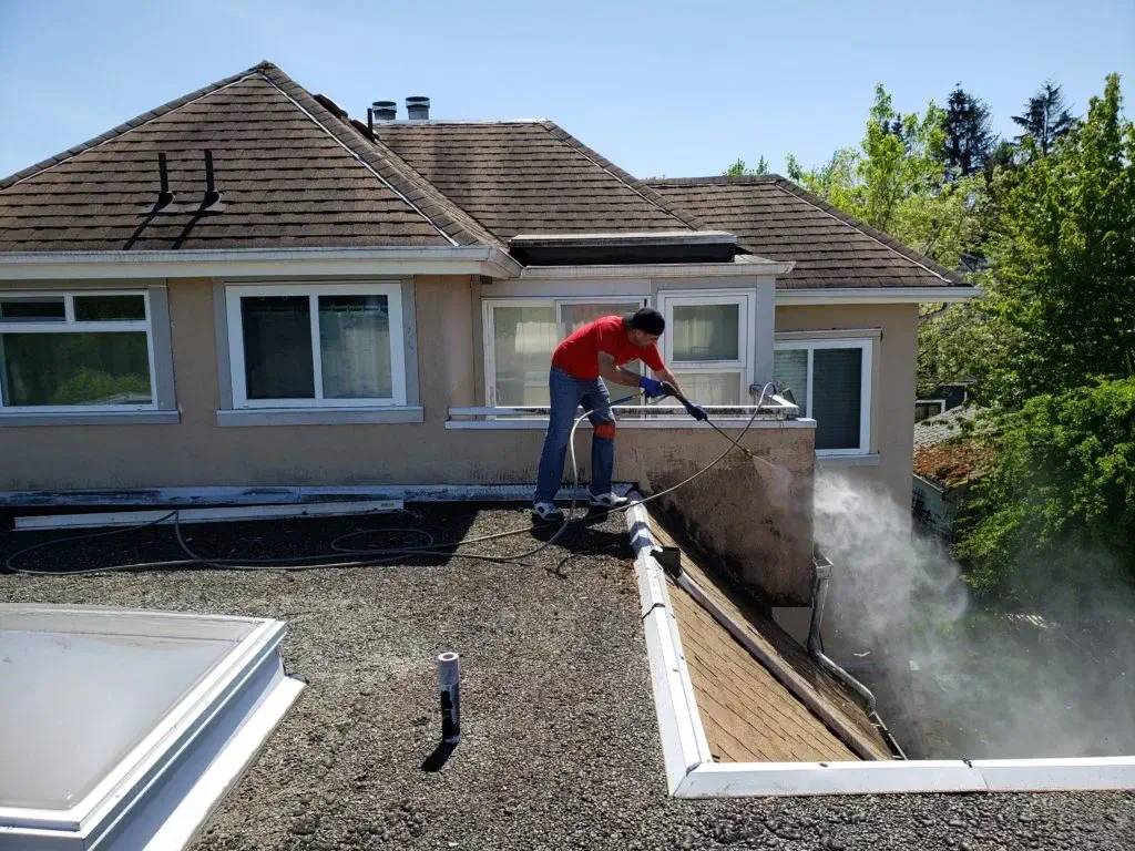 Argenta Painting Ltd