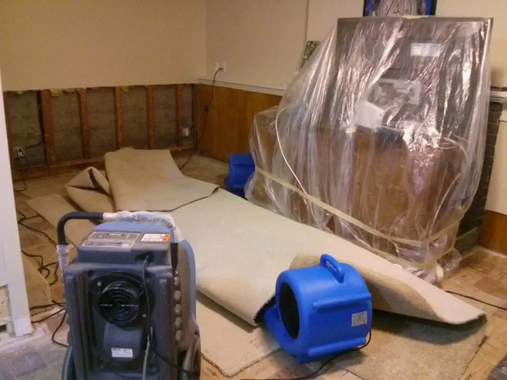 Argenta Painting Ltd