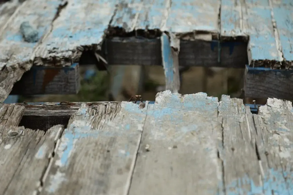 Argenta Painting Ltd