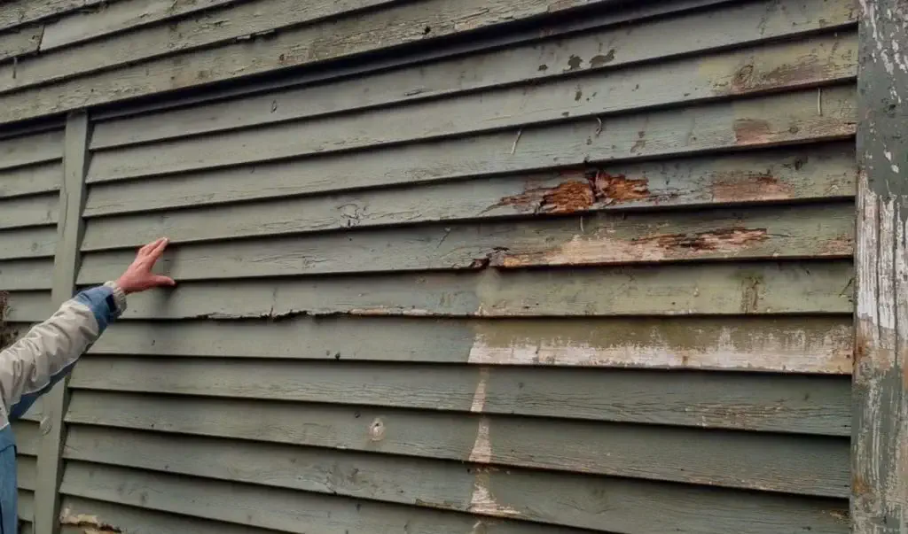 Argenta Painting Ltd