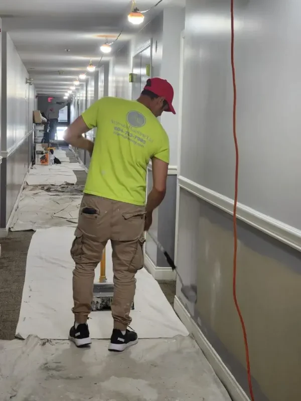 Argenta Painting Ltd