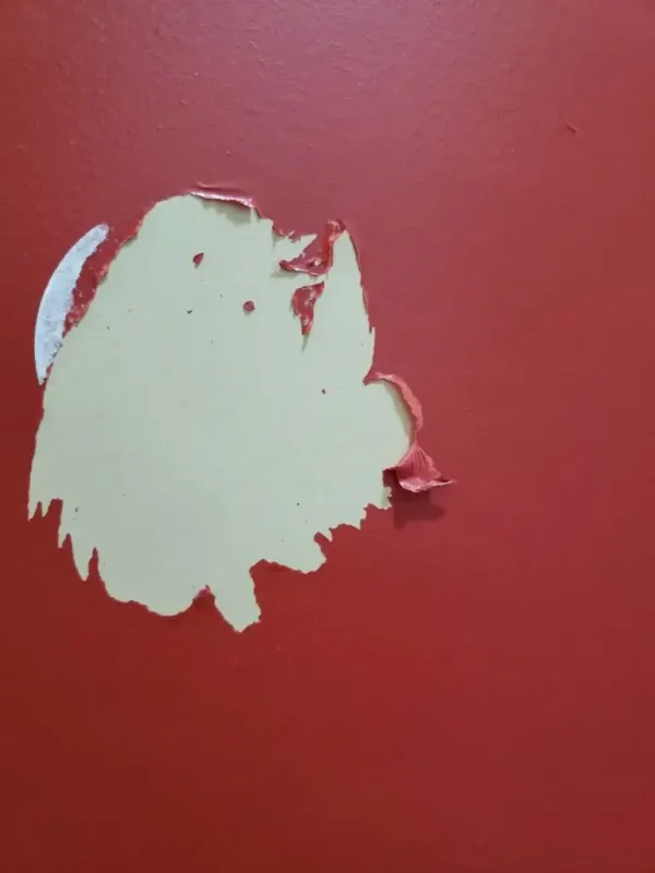 Argenta Painting Ltd