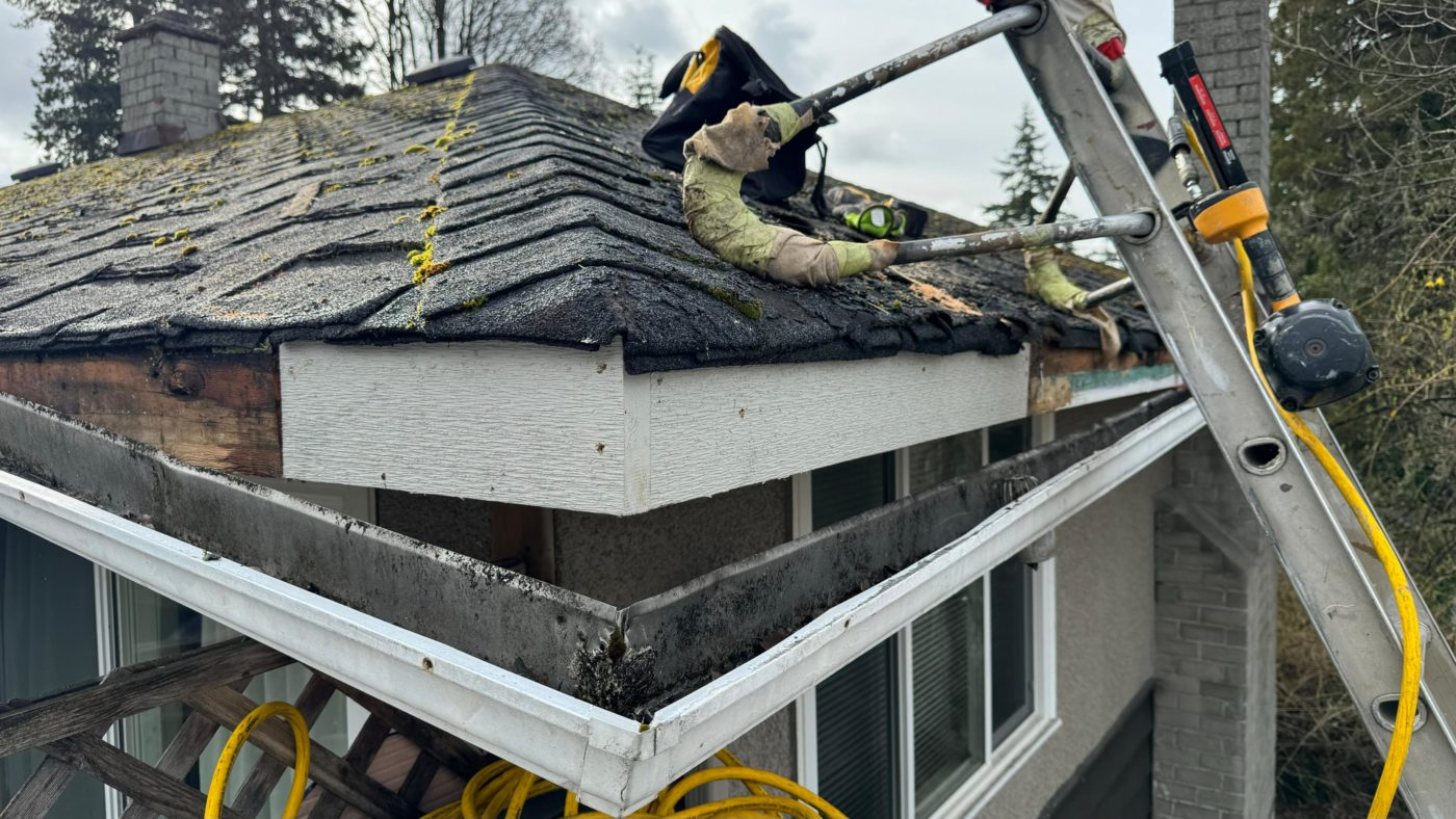 The Long-Term Benefits of Proactive Rot Repair: Enhancing Your Home’s Value and Safety