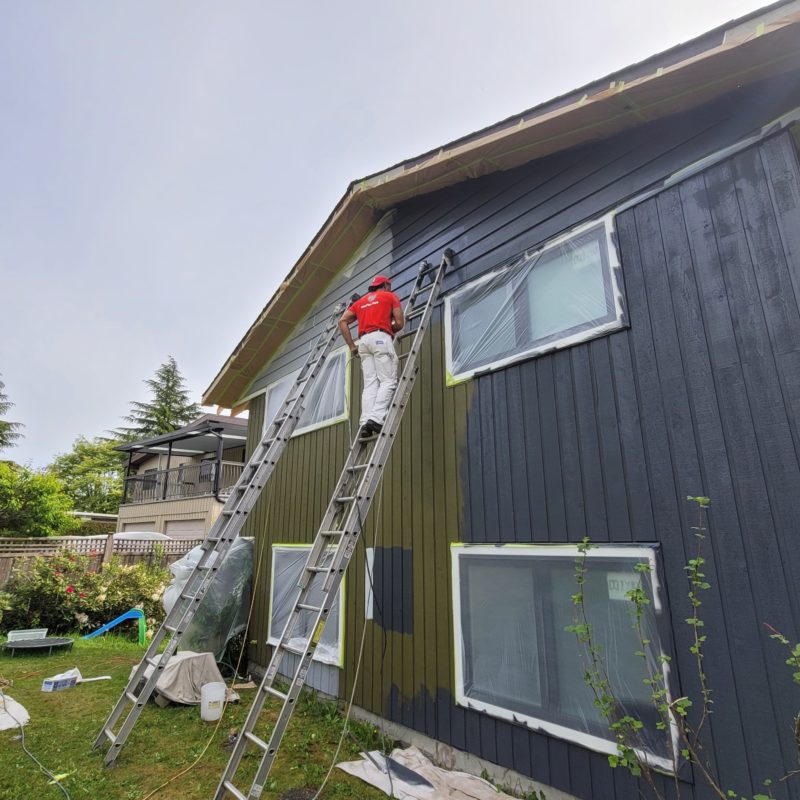 Home Renovation Tips