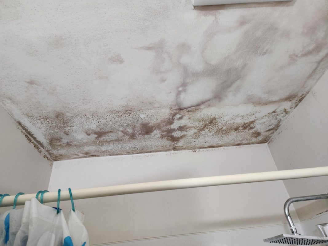 Arrgenta Restoration Ltd.