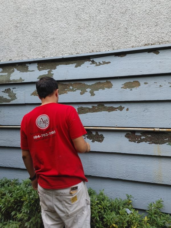 Argenta Restiration Ltd.