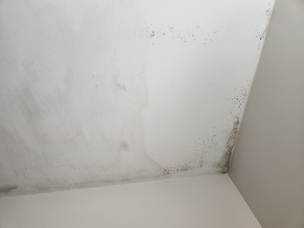 Walls With Moisture