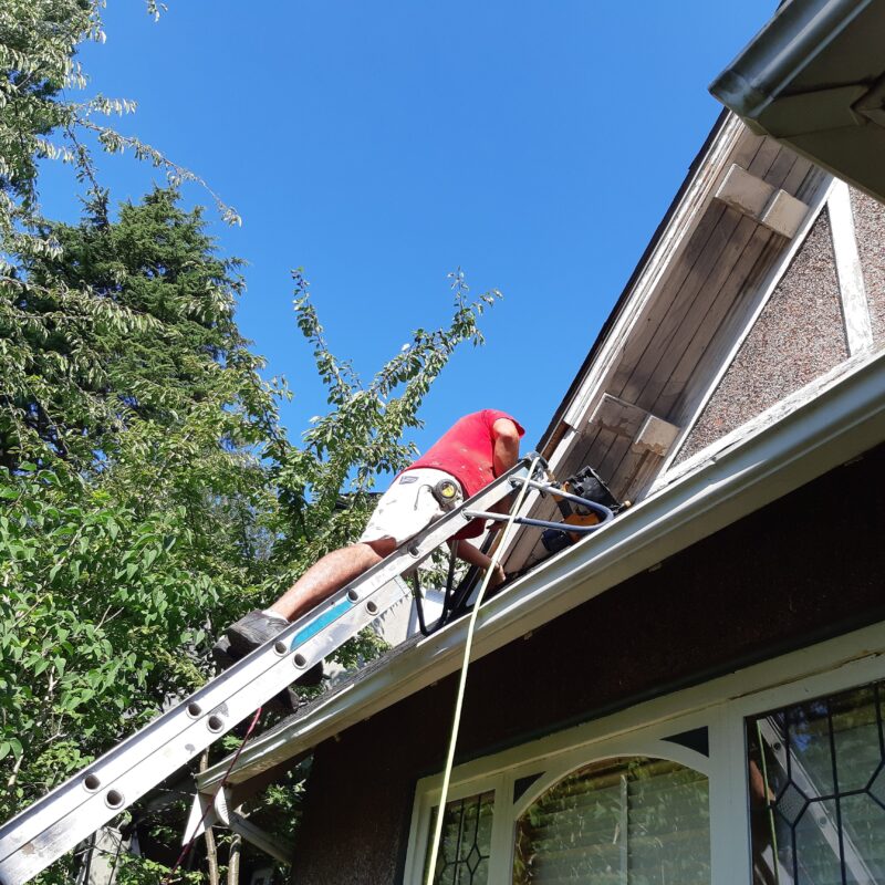 Dealing With Wood Rot.