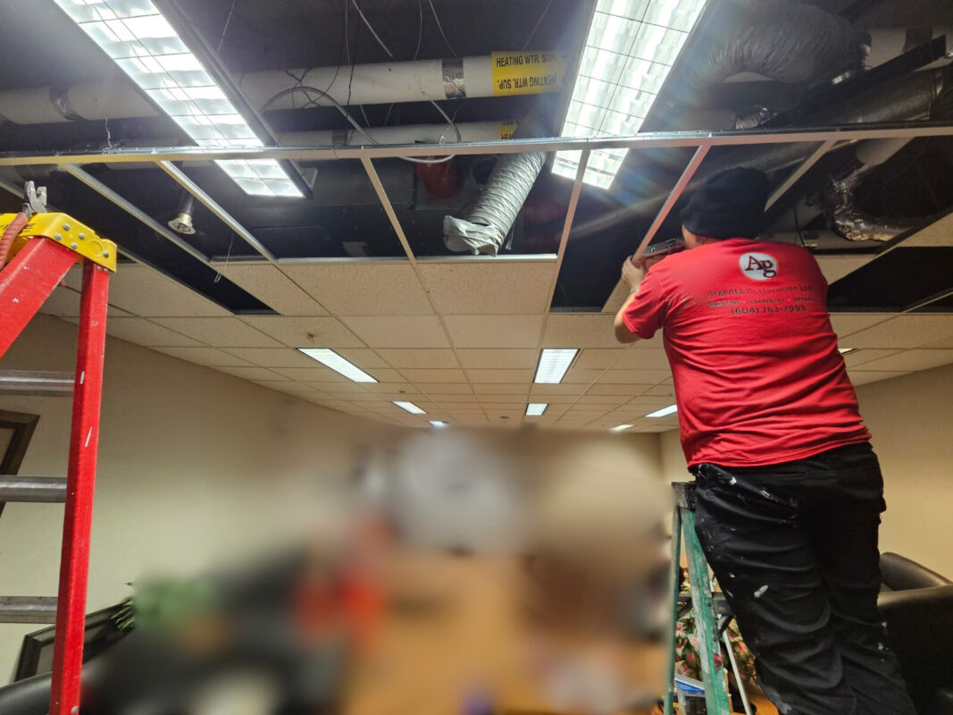 How Commercial Ceiling Tiles Can Improve.