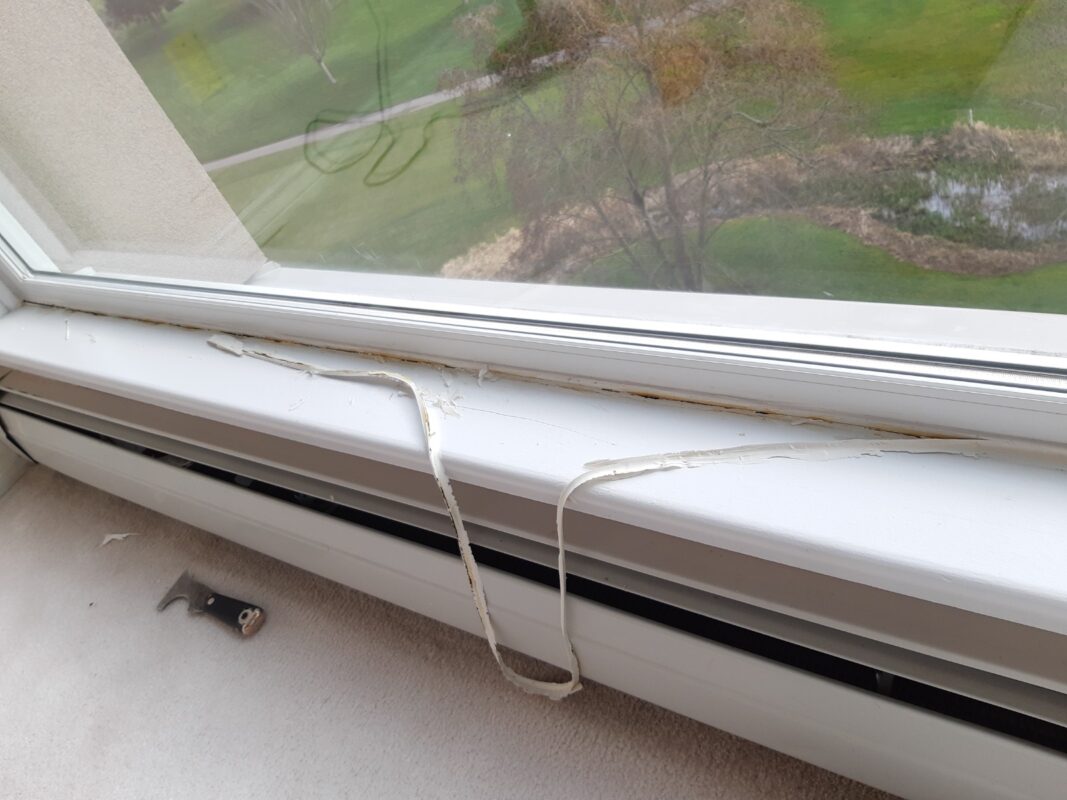 The Main Common Areas Of Rot .