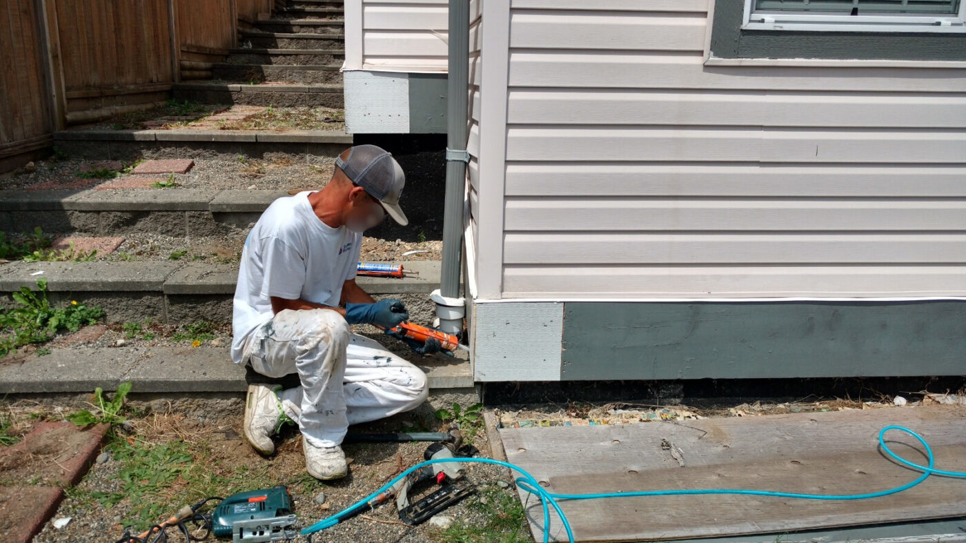 The Main Common Areas OF Rot.