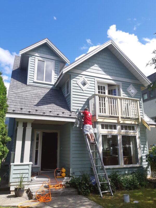 What Paint Cannot Hide.