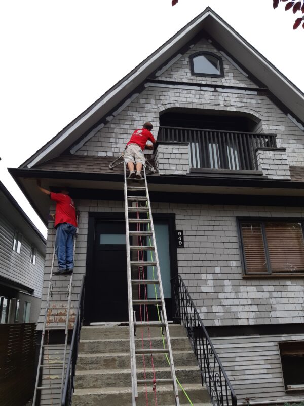 What Paint Cannot Hide.