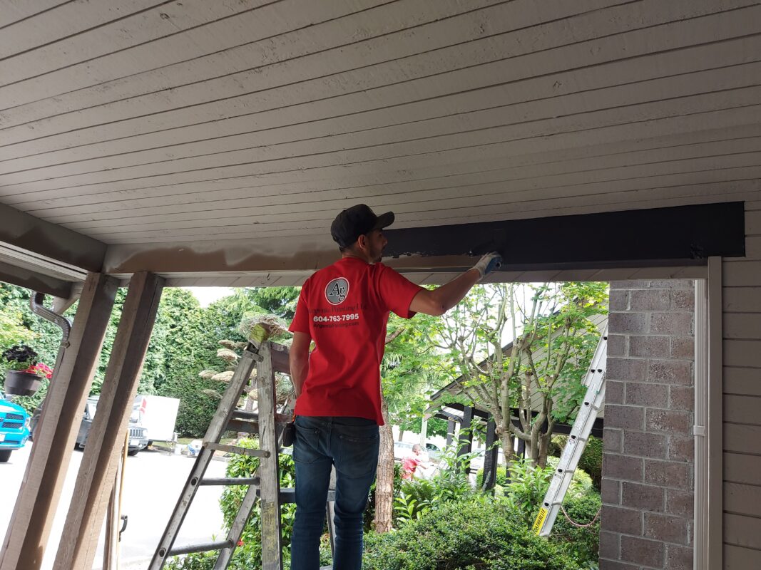 What Paint Cannot Hide.