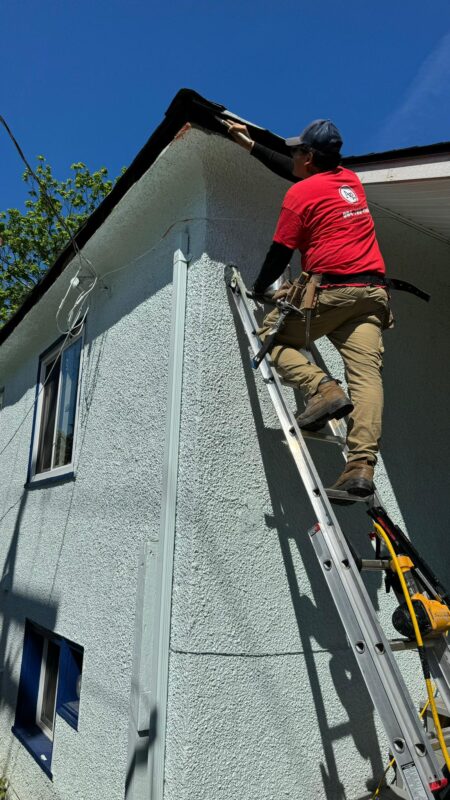 Repairing Rotten Wood.