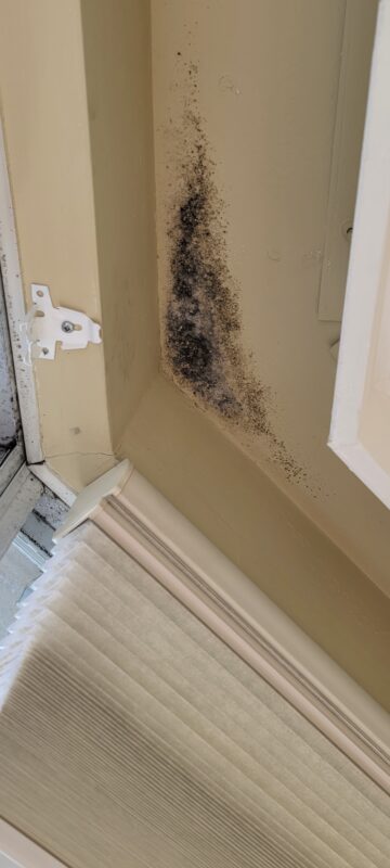 commercial drywall repairs