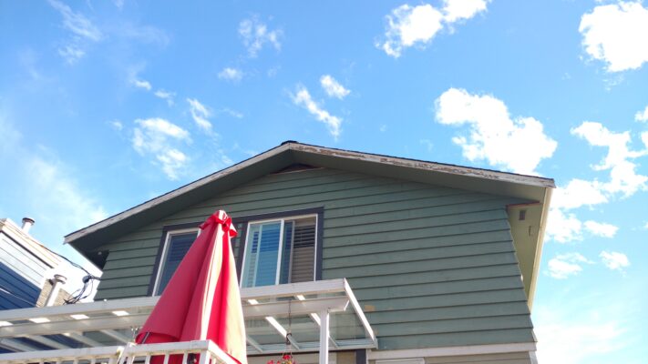 Fascia Repair
