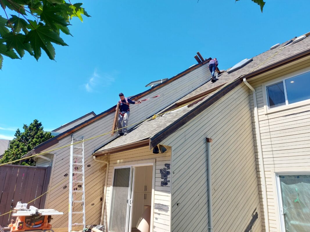 WhatsApp Image 2026 09 11 at 11.39.55 AM